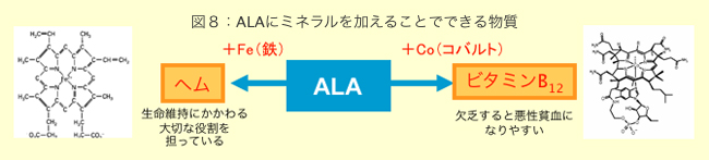 図8：ALAにミネラルを加えることで出来る物質