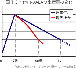 図13：体内のALAの生産量の変化
