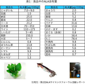 表1：食品中のALA含有量